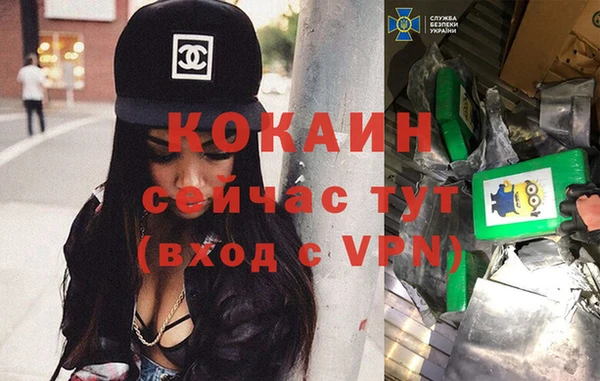 индика Алексеевка