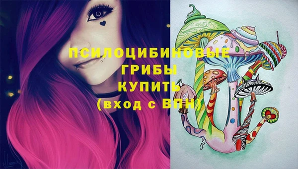 спиды Алексин