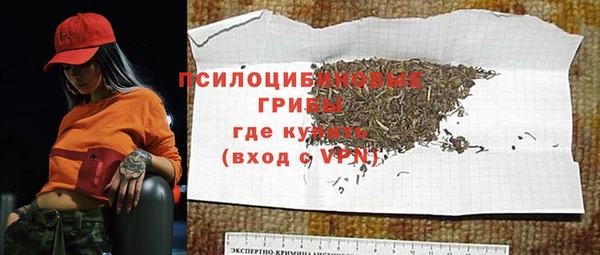 индика Алексеевка