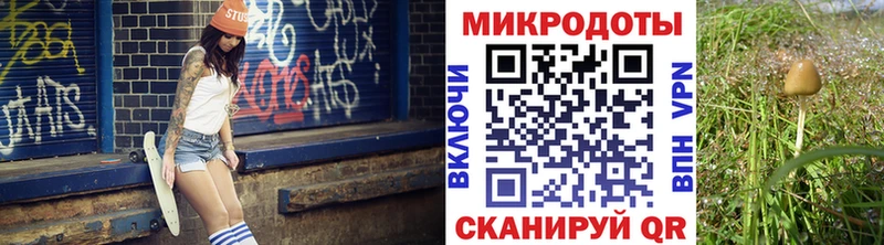 ОМГ ОМГ зеркало  Апрелевка  Галлюциногенные грибы GOLDEN TEACHER 
